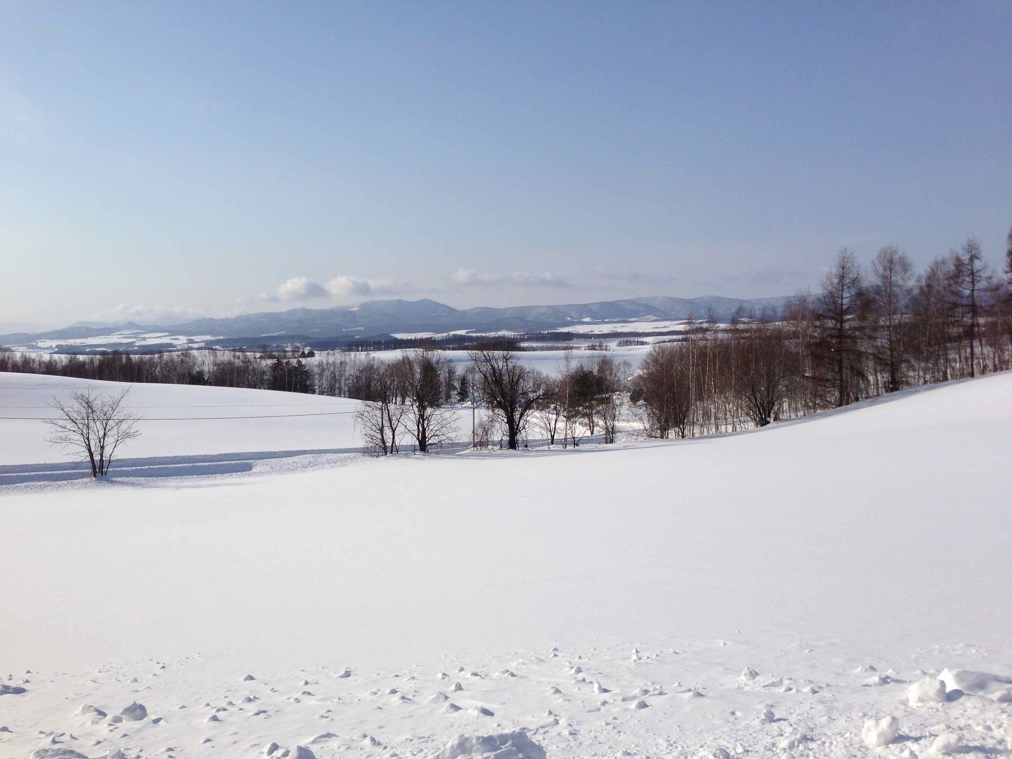 雪の美瑛の丘1