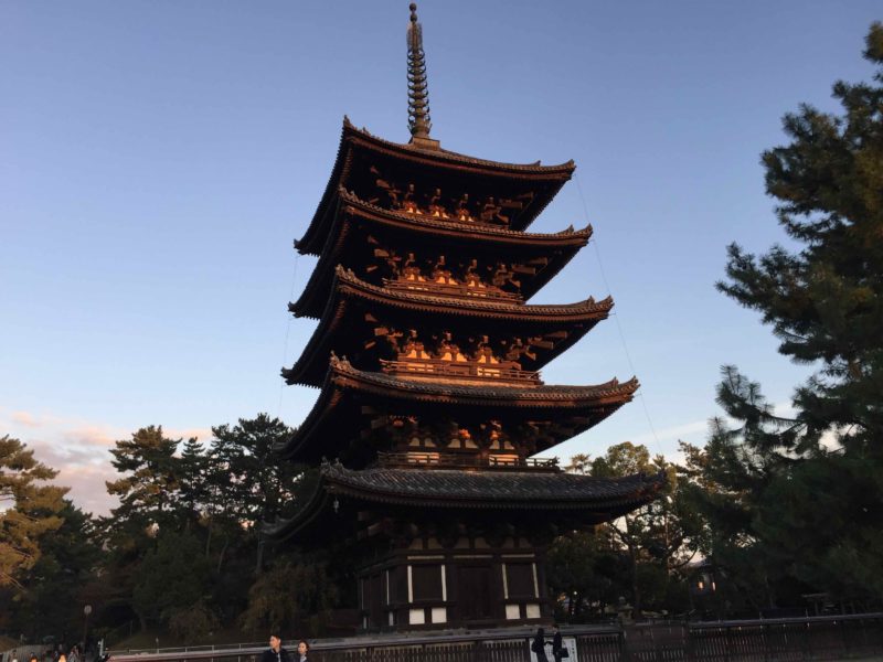 興福寺の五重の塔